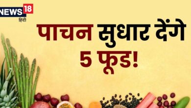 कुछ भी खाते हैं लेकिन नहीं पचता? 5 फूड डाइट में करें शामिल, जल्द दिखने लगेगा असर, डाइजेशन होगा दुरुस्त