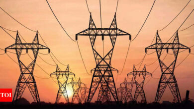 Discoms imposing surcharge on consumersto settle Adani Power dues violating law: NGO | Jaipur News