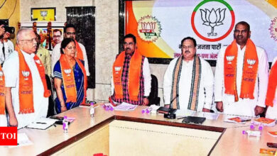 Elections: Raje Retained As Bjp’s Nat’l Vp Ahead Of Polls | Jaipur News