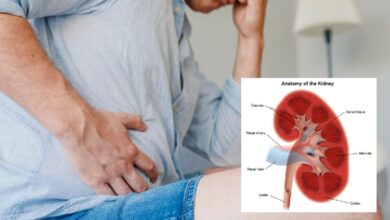 Kidney Health: These things are harmful for kidney, make distance from | Kidney Health: किडनी के लिए नुकसानदायक हैं ये चीजें, जल्द बना लें इनसे दूरी