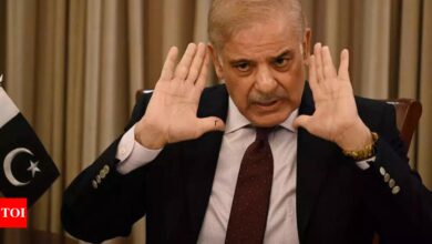 National Elections: Pakistan PM Shehbaz Sharif will hand over power to caretaker government