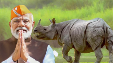 lok_sabha_elections_2024_pm_modi_assam_arunachal_pradesh_visit_kaziranga_national_park_tiger_reserve_.png