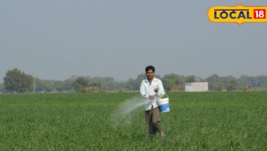 Spraying will be done by forming clusters, target of spraying in 820 hectares of land achieved – News18 हिंदी