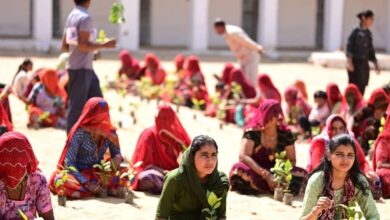 पारिवारिक वानिकी रामरुंख अभियान, हरियाली का अनूठा सिलसिला, जानें सबकुछ