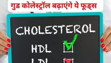 ये 8 सुपरफूड्स किसी दवा से कम नहीं, शरीर में बढ़ा देंगे गुड कोलेस्ट्रॉल, कार्डियोवैस्कुलर डिजीज का रिस्क भी होगा कम