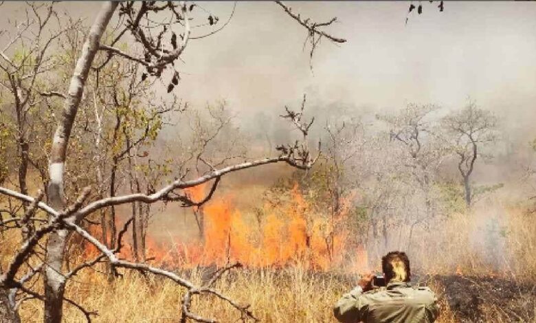 पिता थे सियासी सुपरस्टार, लेकिन बेटा बना खूंखार हीरो, अब 2024 में चुनावी महासमर में आया नाम तो बौखलाकर बताई सच्चाई