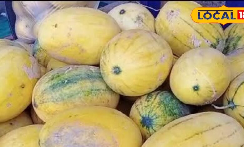 Consume these fruits which look like watermelon in summer season, your health will be improved. – News18 हिंदी