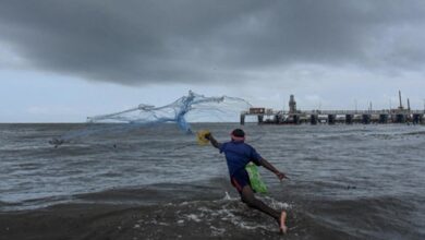 Above-Normal Monsoon Rainfall Predicted In South Asia: Report