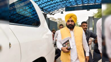 Bhagwant Mann After Meeting Arvind Kejriwal In Jail