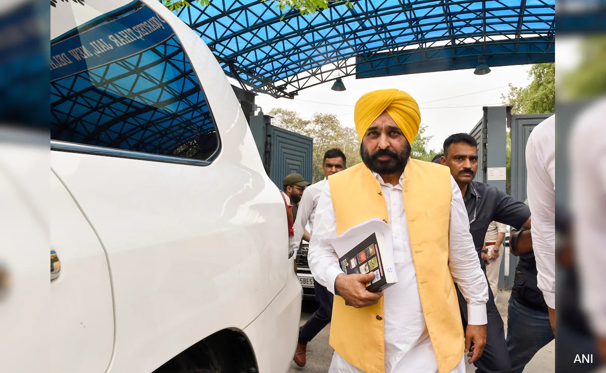 'Height Of Hatred': Bhagwant Mann After Meeting Arvind Kejriwal In Jail