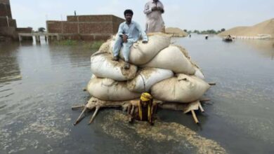 Big Breaking : अफगानिस्तान में कहर बनी बारिश, बाढ़ से 33 लोगों की मौत, हजारों एकड़ कृषि भूमि डूबी