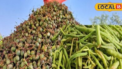 Kair-Sangri grown in Rajasthan has special recognition as a vegetable in the country and the world – News18 हिंदी