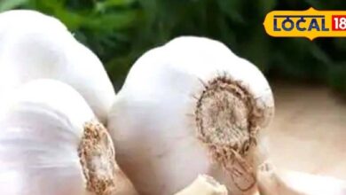 The price of garlic has skyrocketed again, suddenly the price of garlic increased from ₹ 80 to ₹ 200 per kg – News18 हिंदी