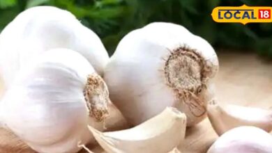 These people should not consume garlic even by forgetting will not be beneficial instead of profit – News18 हिंदी