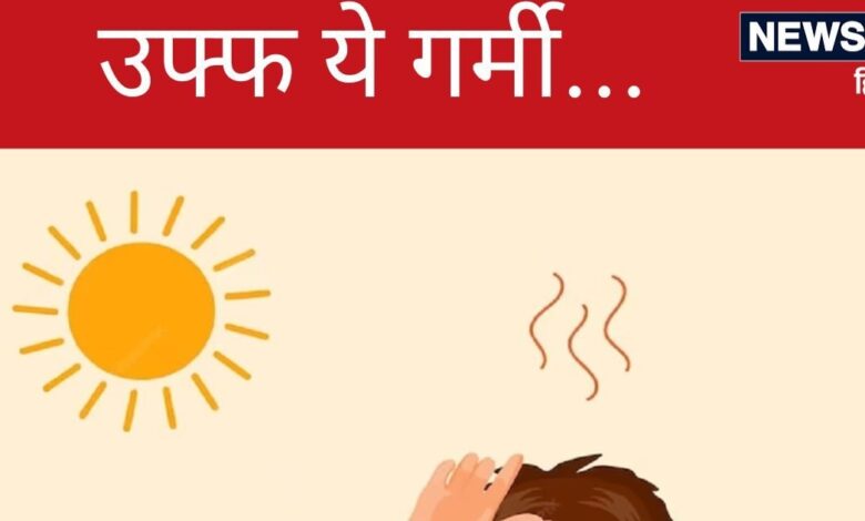 IMD Weather News: दिल्‍ली, UP से लेकर बिहार तक हाहाकार, मौसम विभाग का अलर्ट जारी, सावधान रहें...सुरक्षित रहें - rajasthan haryana delhi ncr uttar pradesh bihar under severe heat wave alert imd issue alert beware