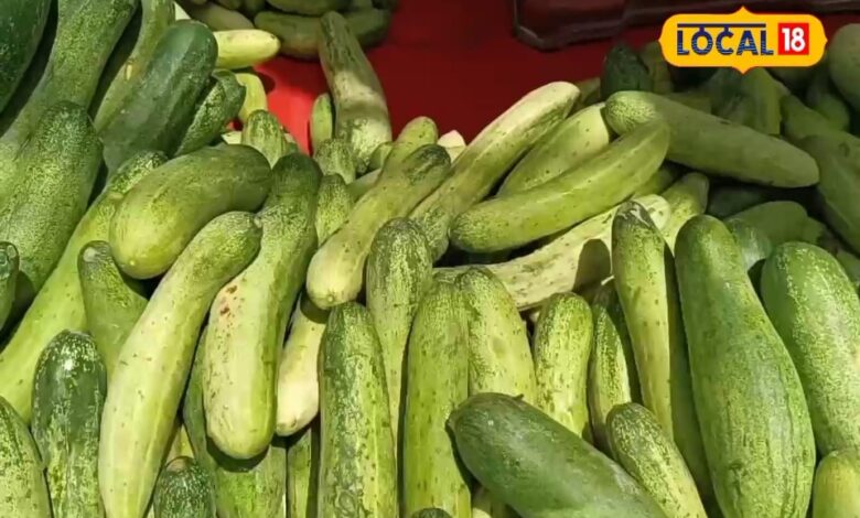 Kheera is full of medicinal properties, provides dozens of health benefits along with taste – News18 हिंदी