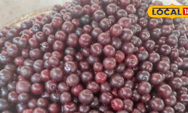 Many dishes including cakes are made from this fruit, it is available in the market only for two months, it gives relief in BP and sugar.