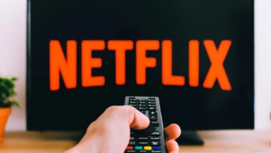 Netflix's Indian Content Clocks Over A Billion Views. What's Most Watched