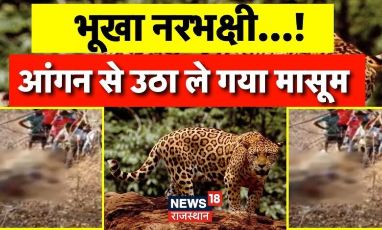 Rajasthan News : Rajasthan में पैंथर का आतंक, आंगन आंगन से उठा ले गया बच्चा | Rjasamand News