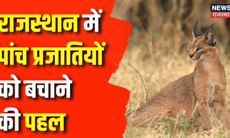 Rajasthan News : राजस्थान में पांच प्रजातियों को बचाने की पहल