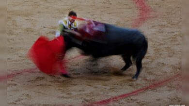 Spain Scraps National Bullfighting Award In Cultural Shift, Sparks Debate