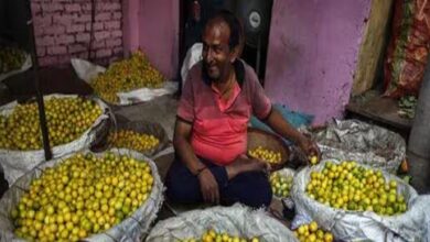 इस गर्मी नींबू का शरबत पीना हुआ दुश्वार, कीमतों में लगी आग, खरीदने से पहले सौ बार सोच रहे लोग