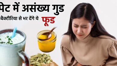 पेट की अंदरूनी शक्ति के लिए अमृत समान है ये 5 फूड, गैस, बदहजमी, ब्लॉटिंग सबका जड़ से हो सकता है खात्मा, ये है लिस्ट