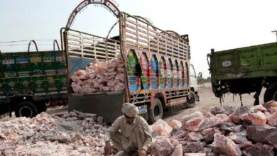 बाघा बॉर्डर से आते हैं बड़े-बड़े 'रंगीन ढेले', पाकिस्तानी खदान से डायरेक्ट सप्लाई, ट्रैक्टर देखते ही दौड़े चले आते हैं लोग