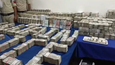 Huge T20 World Cup Betting Racket Busted In Madhya Pradesh, Gang Dealt In Dollars, Pounds, Dirhams