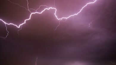 Lightning Kills 5 In A Day In Odisha, Rs 4 Lakh Compensation Announced