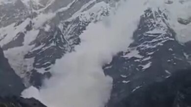 Massive Avalanche Near Kedarnath Dham, None Hurt