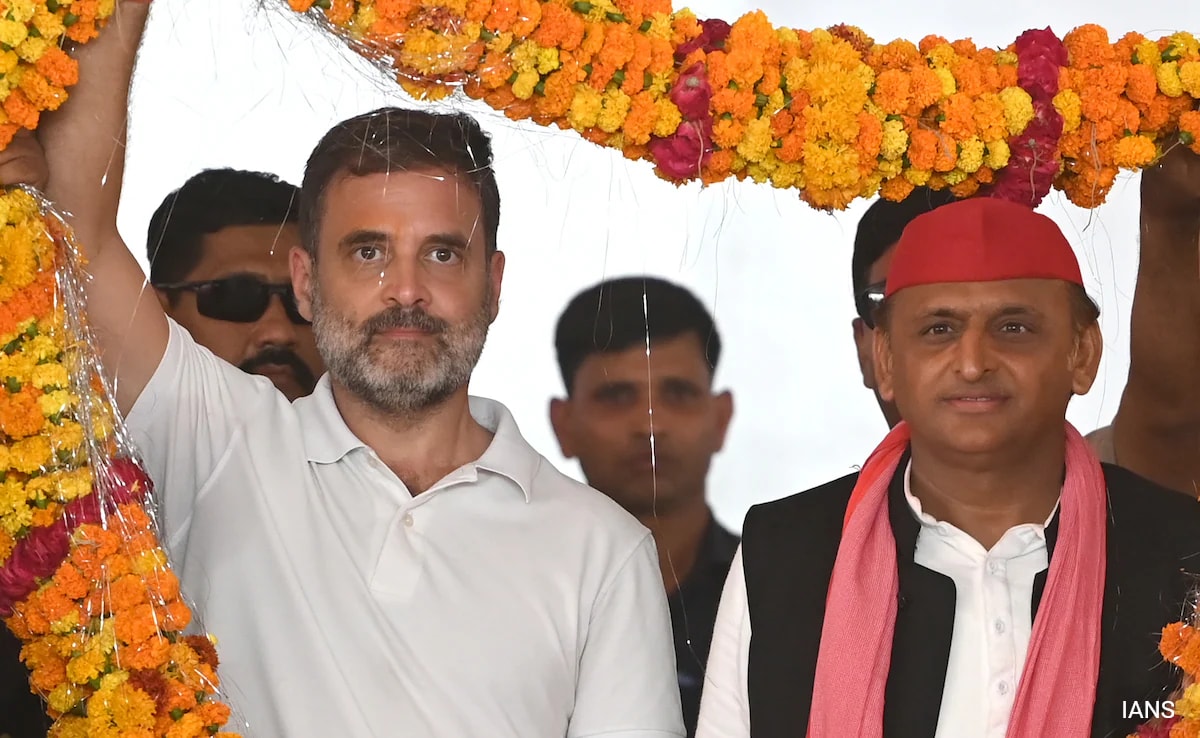 Akhilesh Yadav's First Reaction After INDIA Bloc's Impressive UP Show