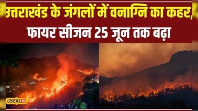 Almora में भी Fire Season बढ़ा, DFO दीपक सिंह का बड़ा फैसला #local18 – News18 हिंदी