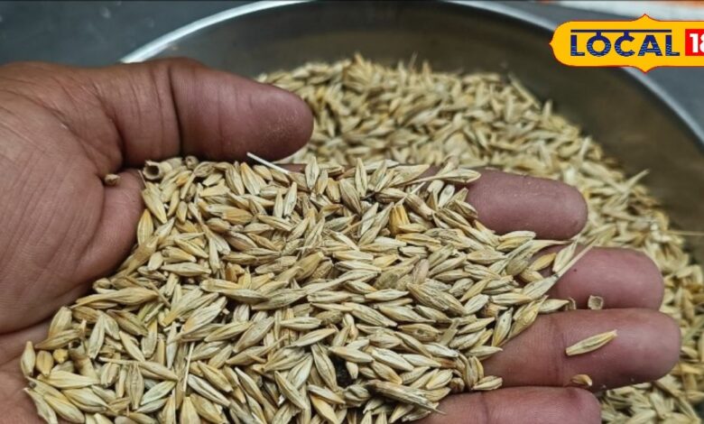 Consuming barley gives surprising health benefits, know what experts say