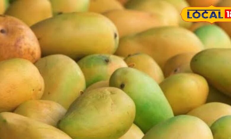 Did you also bring poison instead of mango? Identify mangoes containing chemicals with this easy trick – News18 हिंदी