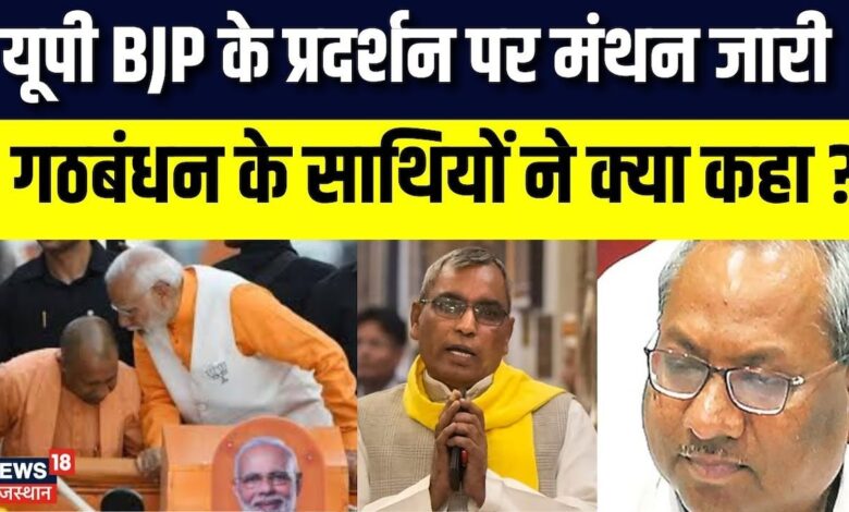 UP Politics News : BJP के सहयोगी कितने हैं उपयोगी ? | Yogi Adityanath | PM Modi | OP Rajbhar