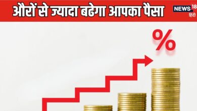 ये दो तरकीबें आपको दिलाएगी PPF पर ज्‍यादा ब्‍याज, आप भी बनिए स्‍मार्ट इनवेस्‍टर और पाएं ज्‍यादा रिटर्न