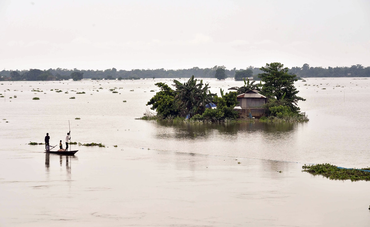 A man rows a boat through a flood-affected area in Assams Morigaon