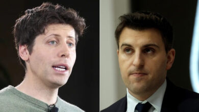 How Airbnb CEO Helped Sam Altman Grow Open AI