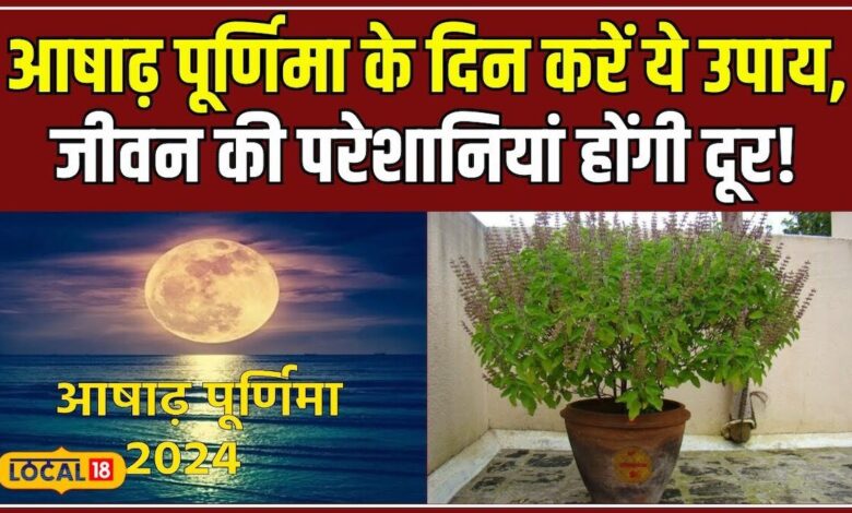 Ashadha Purnima में तुलसी के साथ करें ये उपाय, घर में बनी रहेगी सुख-समृद्धि! #local18