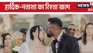 Hardik Pandya Divorce: हार्दिक-नताशा का रिश्ता खत्म, तलाक कन्फर्म, बताया कौन करेगा बेटे की परवरिश