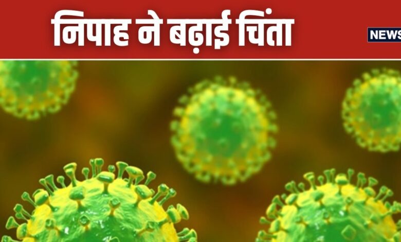 Nipah Virus: केरल में ही निपाह का प्रकोप क्‍यों, भारत में पहले कहां मची थी तबाही? 75% मामलों में मौत का खतरा - nipah virus encephalitis outbreak why kerala most affected where it made first time destruction explainer