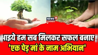 One Tree In The Name Of Mother : "एक पेड़ अपनी मां के नाम पर जरूर लगाएं..." | PM Modi