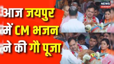 Rajasthan News : 'एक पेड़ मां के नाम' अभियान से पहले CM Bhajanlal Sharma ने की गौ पूजा