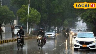 Weather Update: Monsoon will pick up speed again from tomorrow, heavy rain warning in these districts