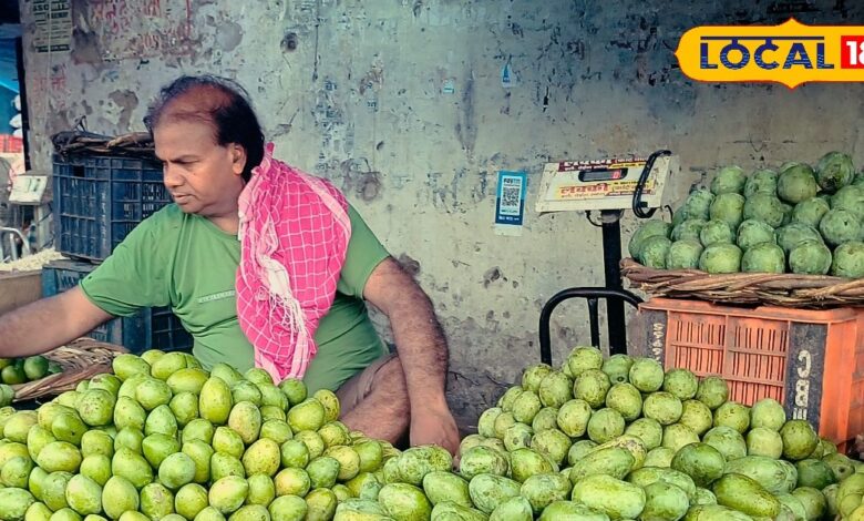 अचार के लिए बेस्ट हैं ये आम...घर पर करें तैयार, स्वाद हो जाएगा दोगुना