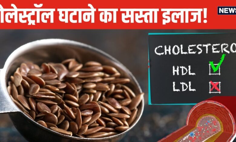 शरीर से बैड कोलेस्ट्रॉल निकाल देंगे ये छोटे-छोटे बीज...! इन 5 तरह से करें सेवन, कम होगा हार्ट अटैक का जोखिम