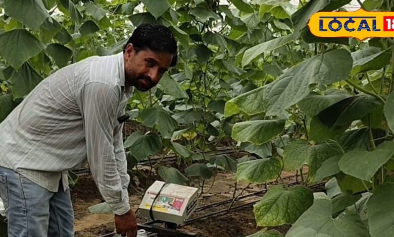 Agriculture Award: गांव में रहकर खेती में नवाचार करने वाले किसानों को मिलेगा सम्मान, राज्य स्तर पर होगा चयन