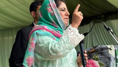 J&K Assembly Polls Not For Statehood, We Have Bigger Goal: Mehbooba Mufti