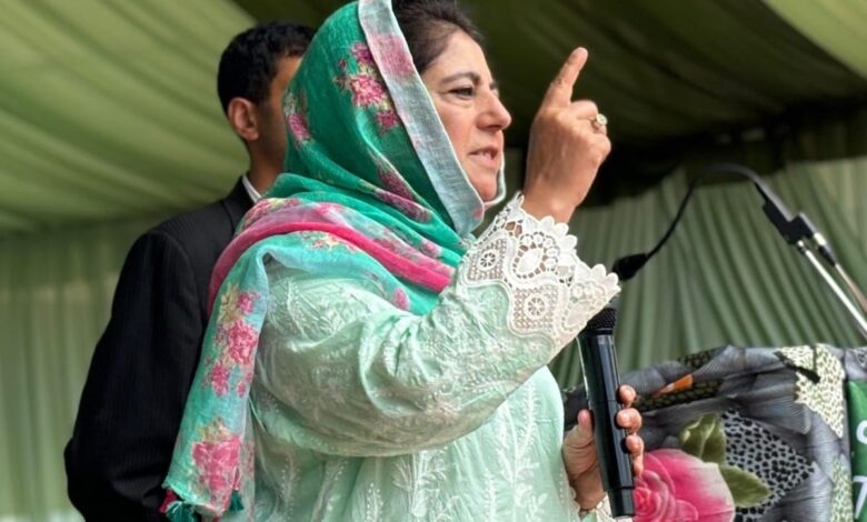 J&K Assembly Polls Not For Statehood, We Have Bigger Goal: Mehbooba Mufti